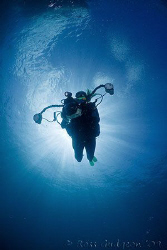 My regular dive buddy Kristin hanging above me at the end... by Ross Gudgeon 